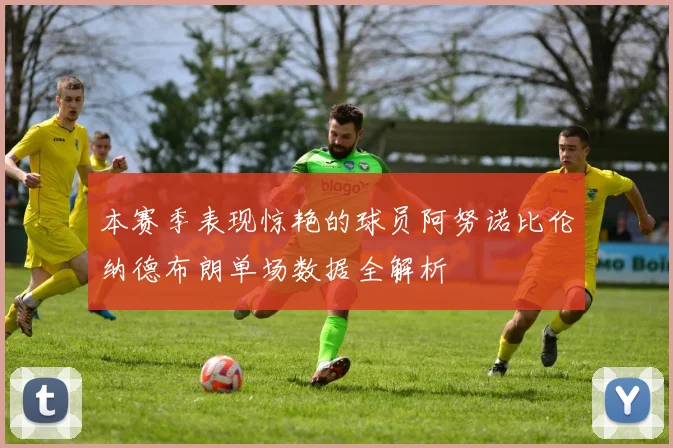 本赛季表现惊艳的球员阿努诺比伦纳德布朗单场数据全解析