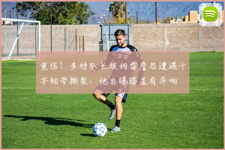 重伤！多特队长埃姆雷詹恐遭遇十字韧带撕裂，他自曝膝盖有异响