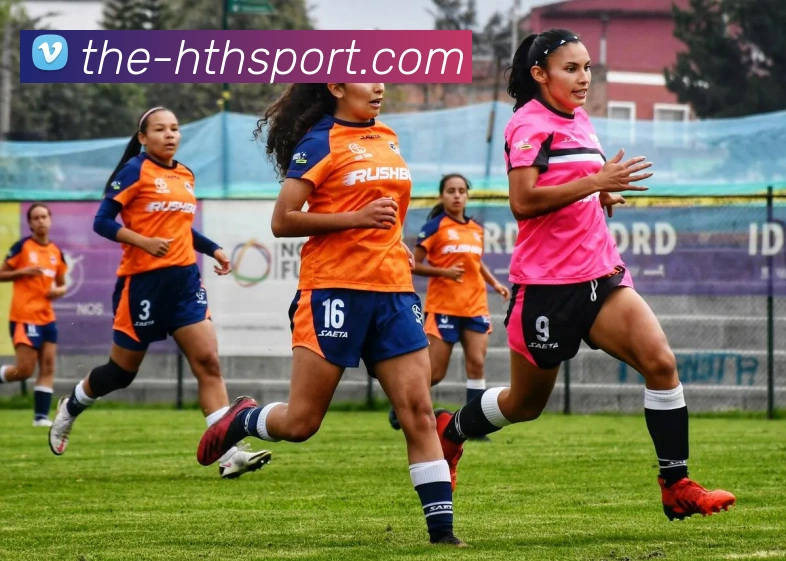 华体会体育APP 封面图